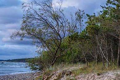 中小学体育教师继续教育体系研究，中小学体育教师继续教育体系研究现状